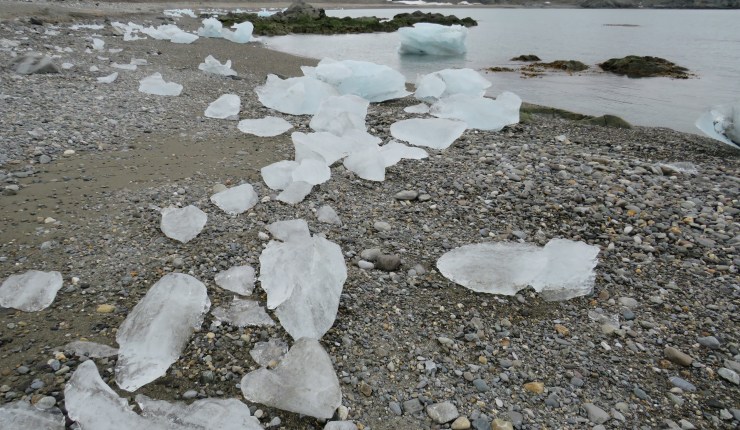 My First Visit to the&nbsp;Arctic!