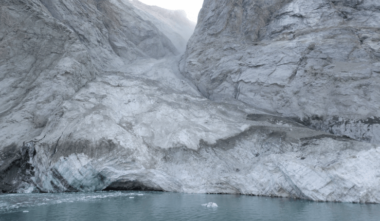 New paper in Science!